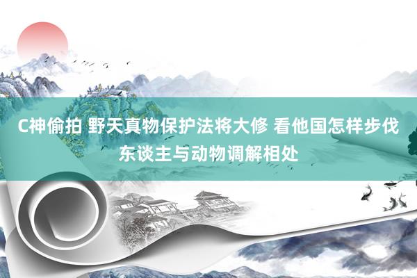C神偷拍 野天真物保护法将大修 看他国怎样步伐东谈主与动物调解相处