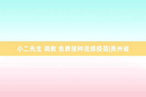 小二先生 调教 免费接种流感疫苗|贵州省