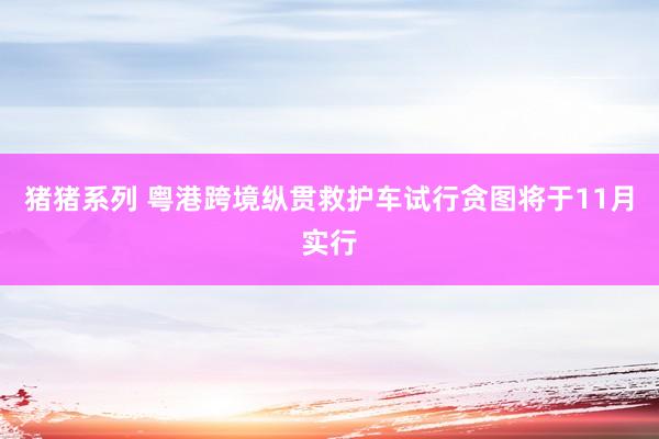 猪猪系列 粤港跨境纵贯救护车试行贪图将于11月实行