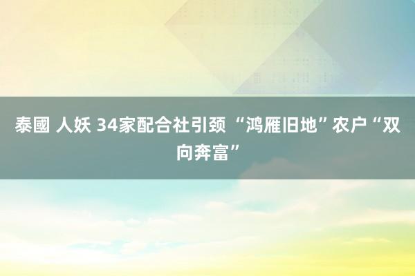 泰國 人妖 34家配合社引颈 “鸿雁旧地”农户“双向奔富”