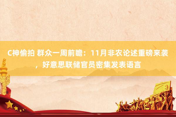 C神偷拍 群众一周前瞻：11月非农论述重磅来袭，好意思联储官员密集发表语言