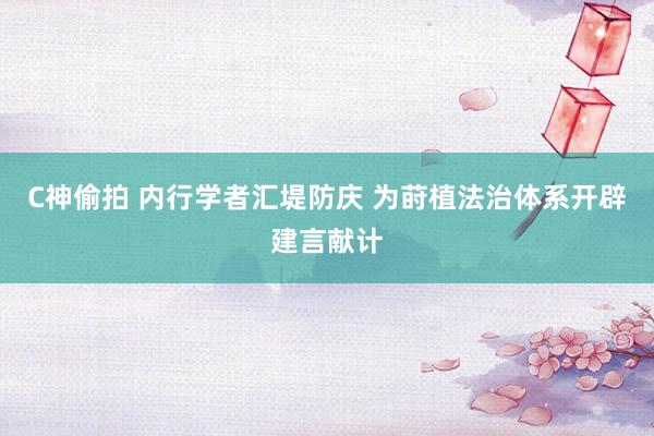 C神偷拍 内行学者汇堤防庆 为莳植法治体系开辟建言献计