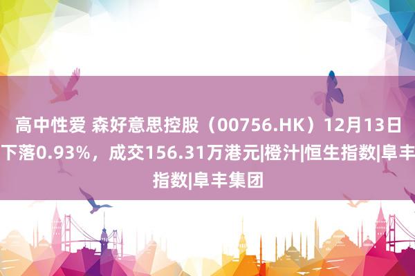 高中性爱 森好意思控股（00756.HK）12月13日收盘下落0.93%，成交156.31万港元|橙汁|恒生指数|阜丰集团