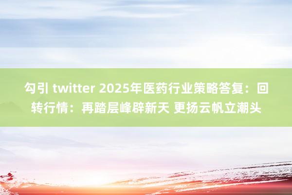 勾引 twitter 2025年医药行业策略答复：回转行情：再踏层峰辟新天 更扬云帆立潮头