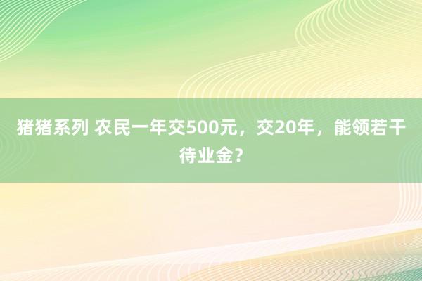 猪猪系列 农民一年交500元，交20年，能领若干待业金？