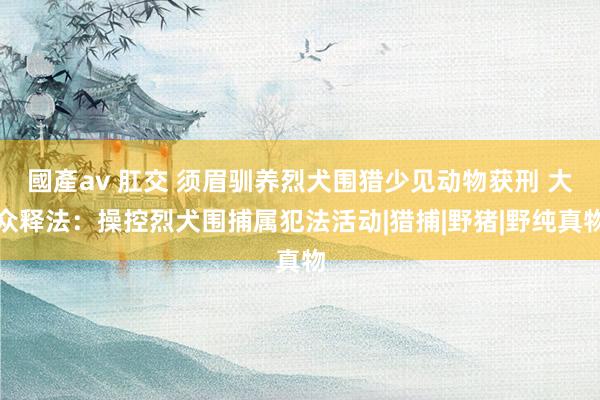 國產av 肛交 须眉驯养烈犬围猎少见动物获刑 大众释法：操控烈犬围捕属犯法活动|猎捕|野猪|野纯真物