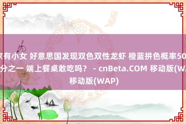 家有小女 好意思国发现双色双性龙虾 橙蓝拼色概率5000万分之一 端上餐桌敢吃吗？ - cnBeta.COM 移动版(WAP)