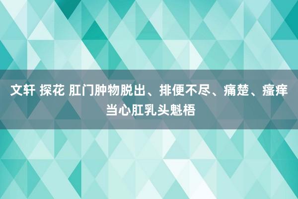 文轩 探花 肛门肿物脱出、排便不尽、痛楚、瘙痒 当心肛乳头魁梧
