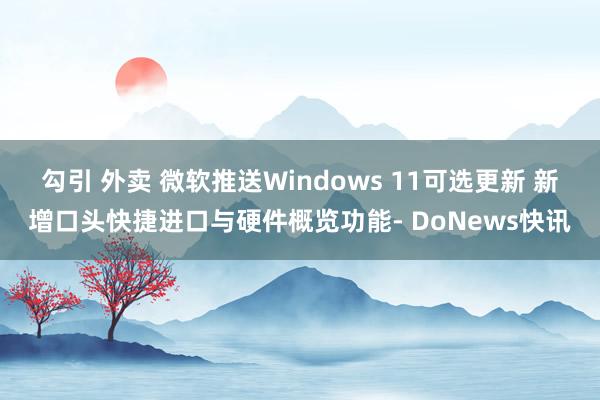 勾引 外卖 微软推送Windows 11可选更新 新增口头快捷进口与硬件概览功能- DoNews快讯