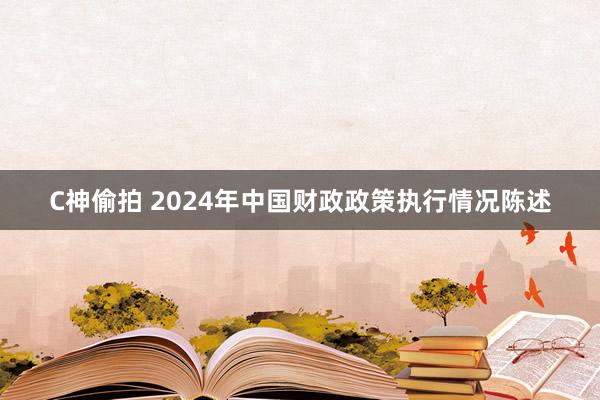 C神偷拍 2024年中国财政政策执行情况陈述