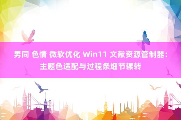 男同 色情 微软优化 Win11 文献资源管制器：主题色适配与过程条细节辗转