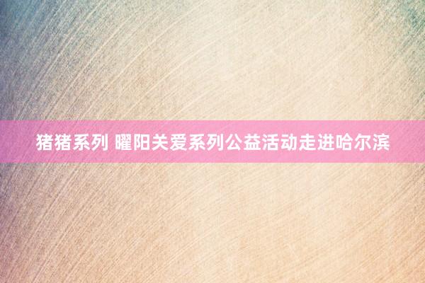 猪猪系列 曜阳关爱系列公益活动走进哈尔滨