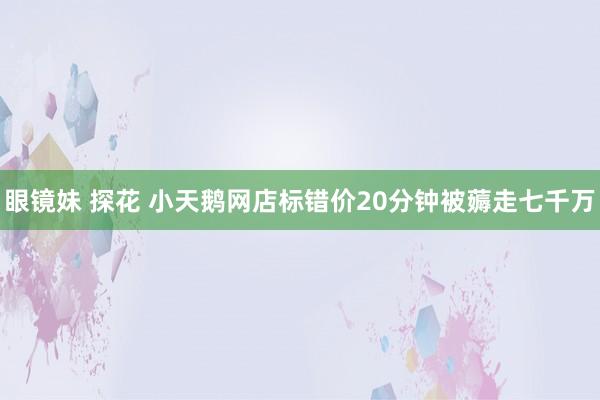 眼镜妹 探花 小天鹅网店标错价20分钟被薅走七千万