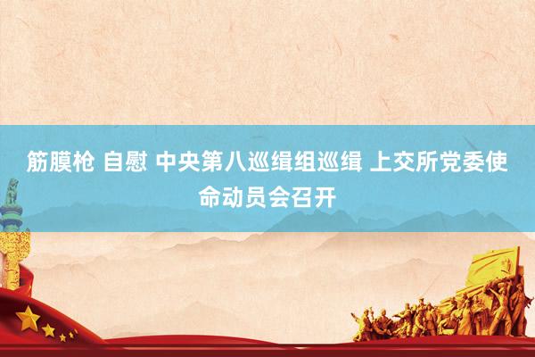 筋膜枪 自慰 中央第八巡缉组巡缉 上交所党委使命动员会召开