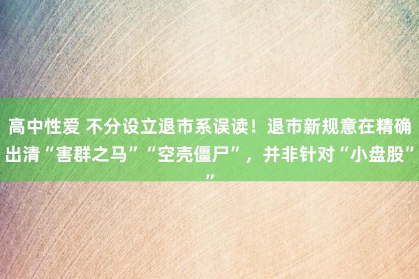 高中性爱 不分设立退市系误读！退市新规意在精确出清“害群之马”“空壳僵尸”，并非针对“小盘股”