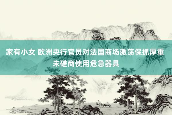 家有小女 欧洲央行官员对法国商场激荡保抓厚重 未磋商使用危急器具