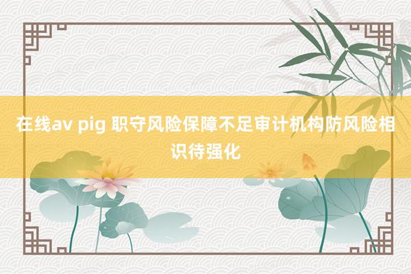 在线av pig 职守风险保障不足审计机构防风险相识待强化