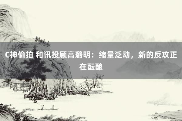 C神偷拍 和讯投顾高璐明：缩量泛动，新的反攻正在酝酿